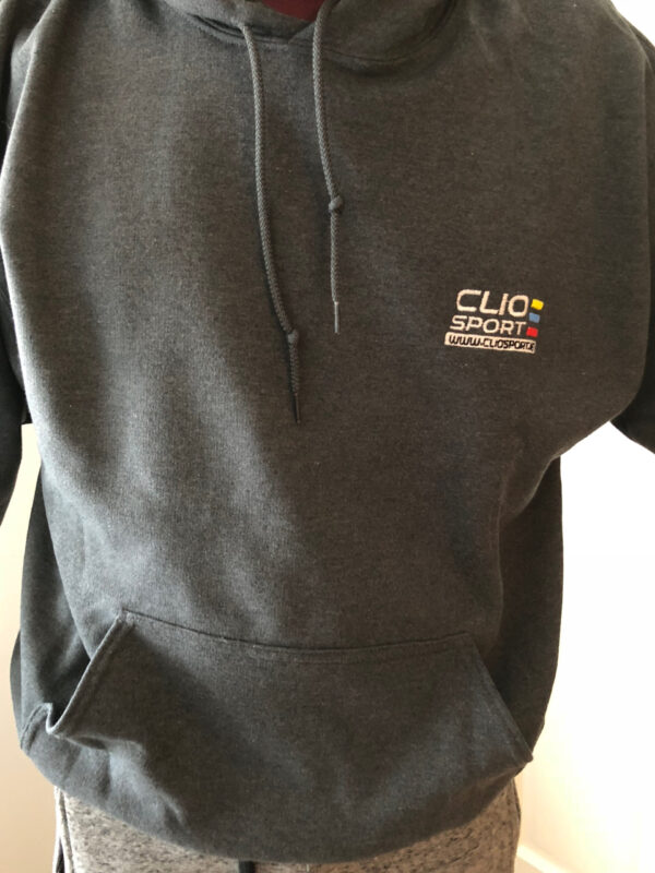 Hoodie With Embroidered Colour Logo