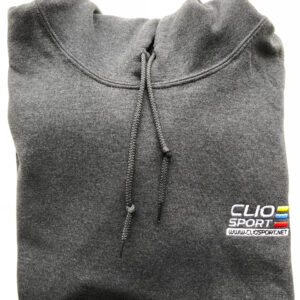 Hoodie With Embroidered Colour Logo